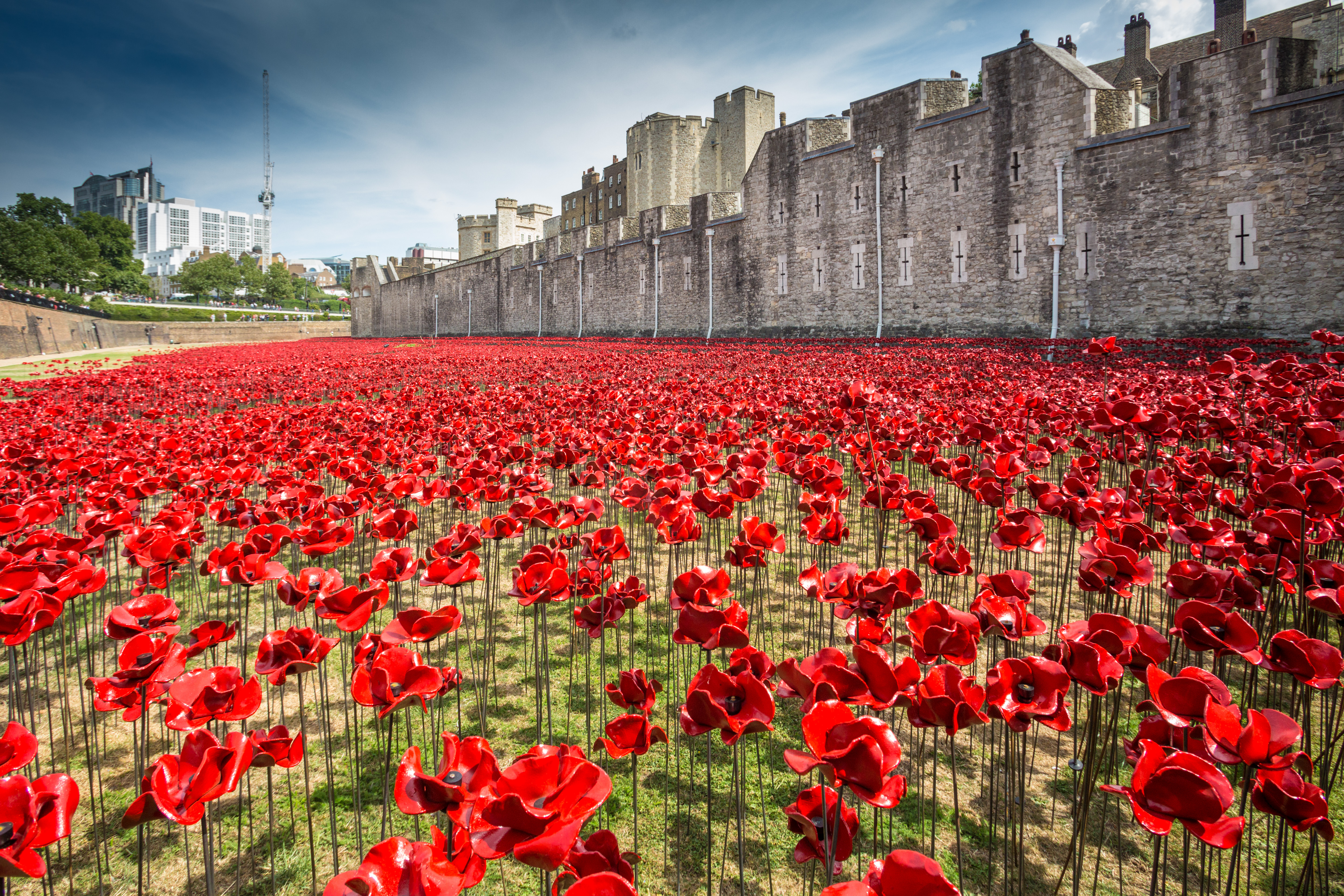What Does Tower of London Poppy Installation Mean To You?