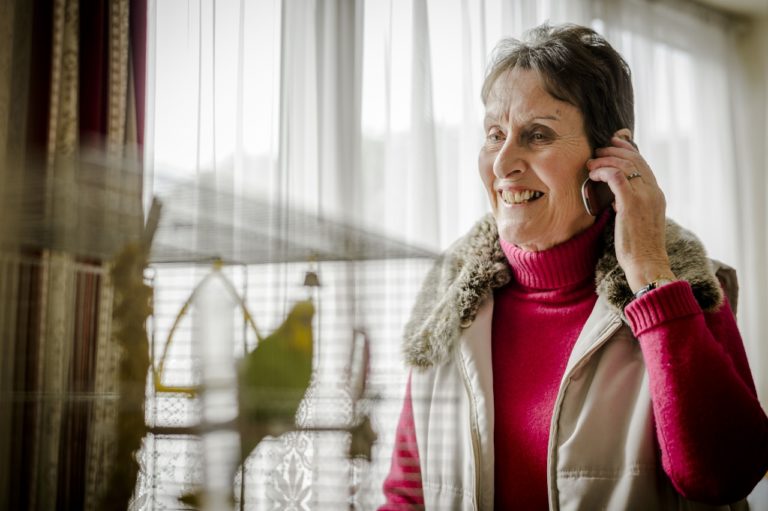 True Christmas Angel Volunteers For Grieving Pet Owners Good News Shared