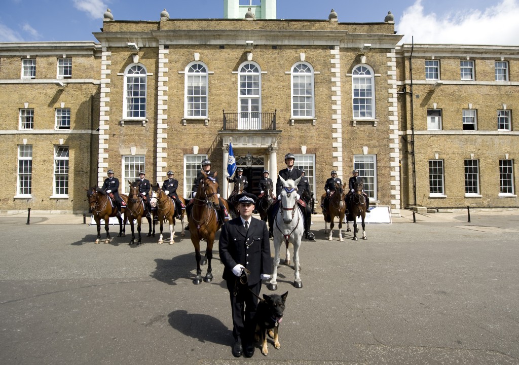 PDSA Order of Merit – The Animals’ OBE – For Met Police Dogs and Horses