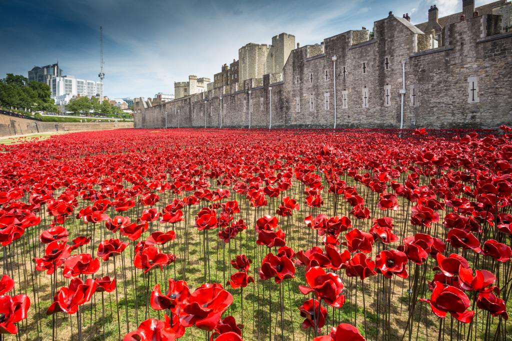 What Does The Tower of London Poppy Installation Mean To You? 