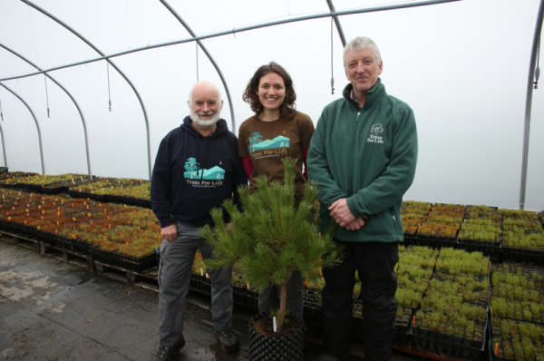 Conservation Charity Trees for Life brings prosperity to the Highlands