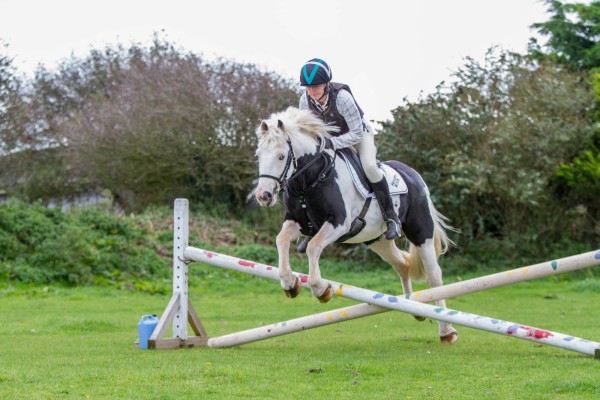 Rescue Pony Given 2% Chance of Survival crowned Supreme Champion