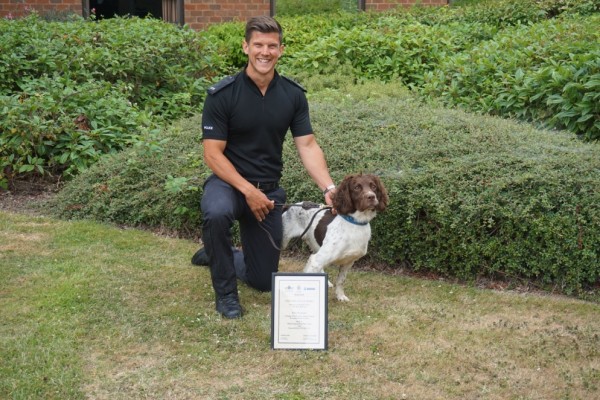 Homeless Dog Has Life Changed After Becoming a Police Dog