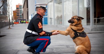 Marine Corps dog Lucca awarded Medal for her service in Afghanistan and Iraq