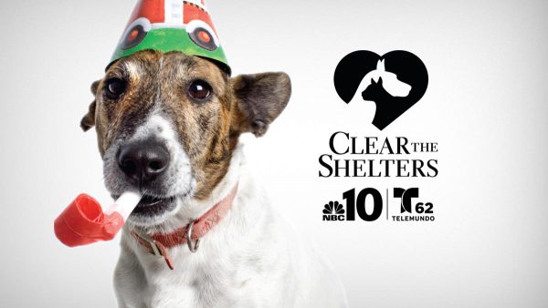 Drive to #cleartheshelters is a massive success!