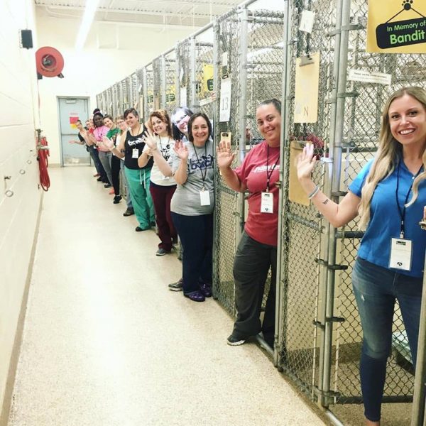 Drive to #cleartheshelters is a massive success!