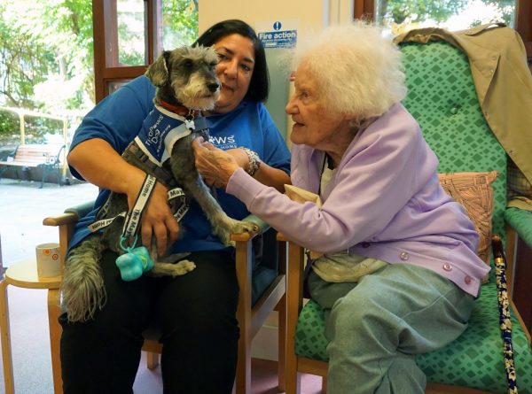 Older People Have Fun with Dogs at Age UK Event