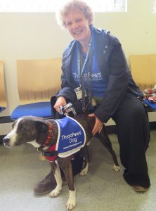 Loveable TheraPaws Dog Retires After Years of Helping Older People