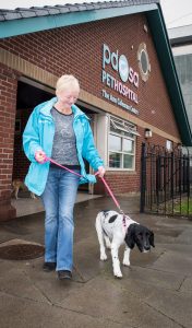 Dog with Crippling Arthritis Able to Walk Again