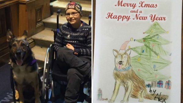 Give back this jolly season like nine-year old cancer patient Alex Goodwin