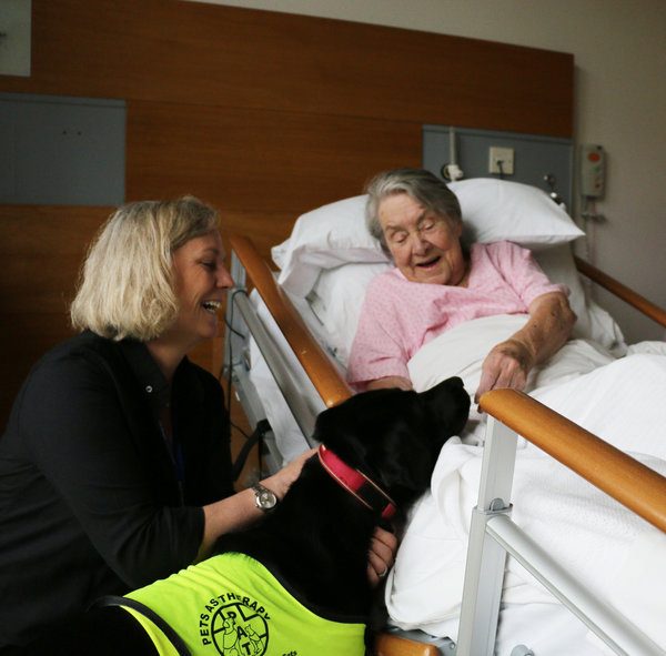 Pet Therapy Dogs Welcomed By Patients at Royal Trinity Hospice