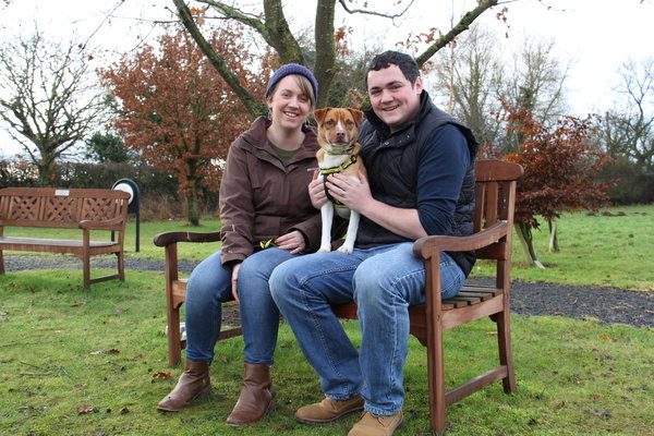 A paw-fect start to 2017 for Jack Russell Terrier Cross Paddy