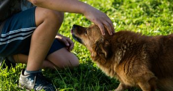 BorrowMyDoggy: Bringing dog owners and dog lovers together to share the care