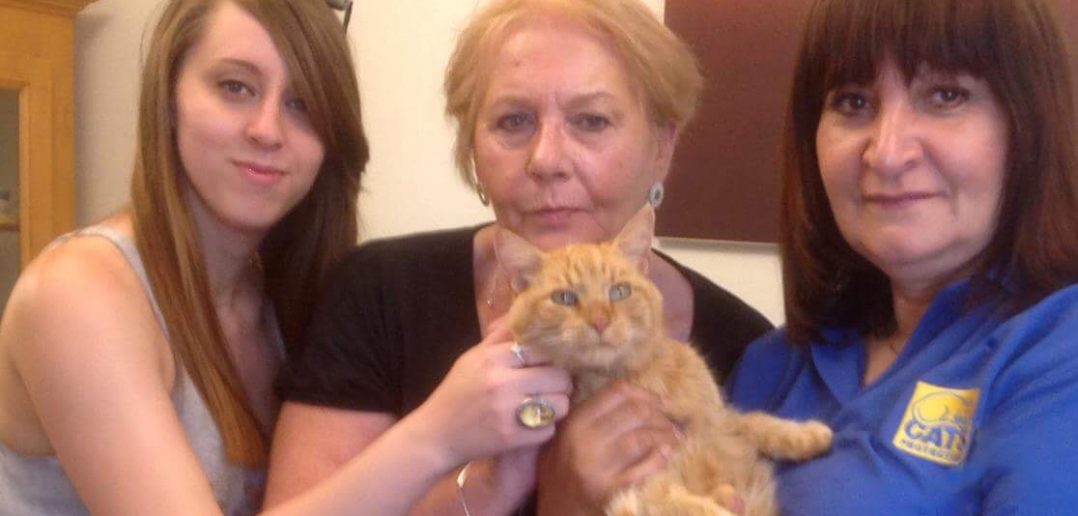Three Owners Reunited with Their Cats Who Had Been Missing For a Total of 21 years