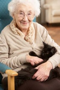 Cat Café Brings Christmas Cheer to Local Elderly Residents