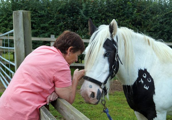 Rescue Horse in Emotional Reunion with Original Rescuer After 14 Years