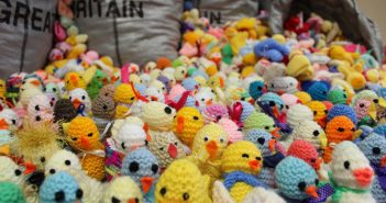 Easter Chick Knit Brings Cheer to Children's Hospice