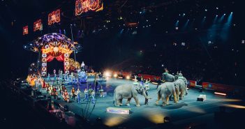 Animal Rights Groups to Provide Retired Circus Elephants with the Life They Deserve