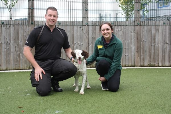 Dogs Trust resident sniffs out new career and new home