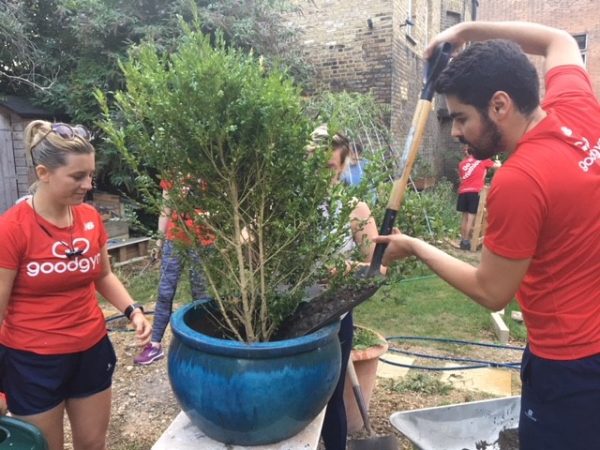 Charity work at a racing pace: runners help local community garden