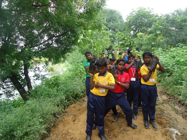 School Eco Club in Tamil Nadu Taking Practical Steps to Be More Environmentally Conscious