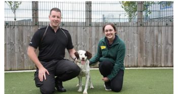 Former Rescue Dog Finds Her Feet as Police Sniffer Dog