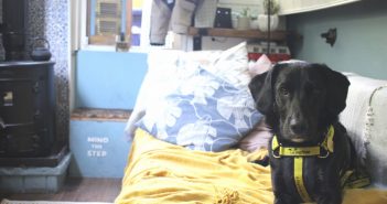 It’s All Paws on Deck for Rescue Dog Who is Loving His New, Unusual Home