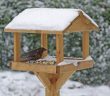 9 Top Tips to Get Your Garden Birds Through the Cold Winter