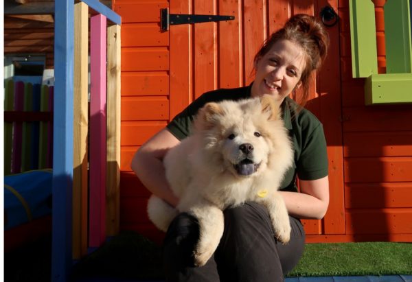 Puppies Have New Puppy Palace to Enjoy Until They Find Their Forever Home