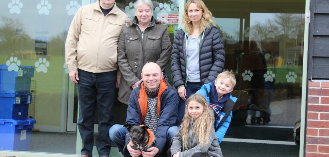 Record number of rescue dogs fostered by local dog lovers
