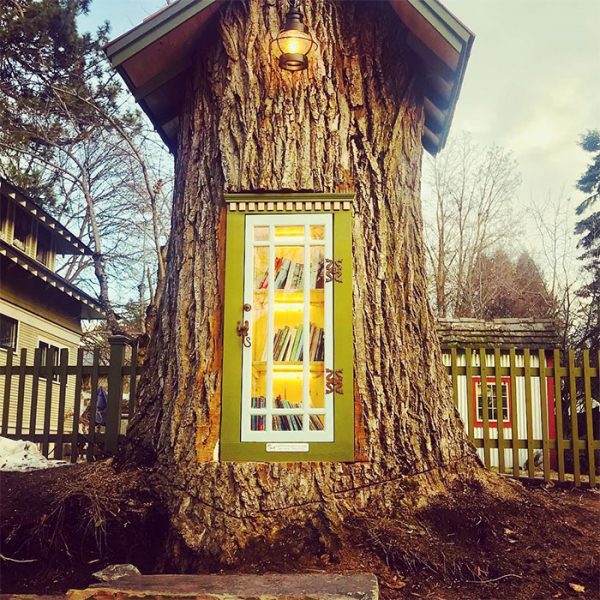 Tree Stump is Transformed into Community Library