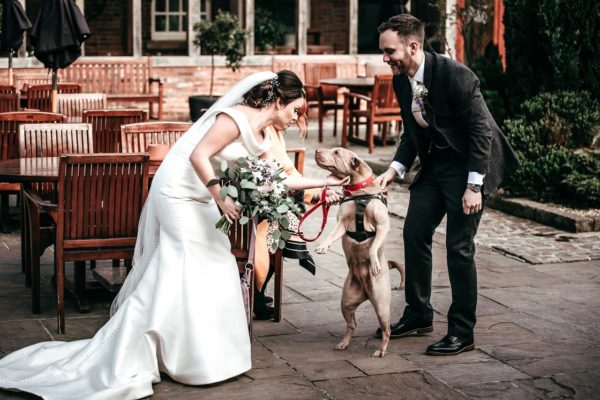 There’s a ‘howl’ lot of love as rescue dog steals the show at wedding
