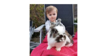 This two-year-old girl has the 'magic touch' with homeless rabbits