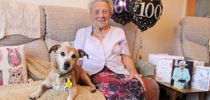 100-year-old dog lover gives old rescue pooch his longed for furry-tail ending