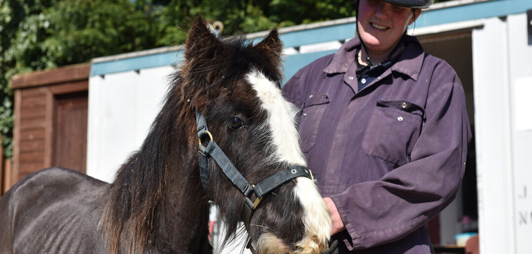 Emaciated Rescue Pony is Transformed During Lockdown