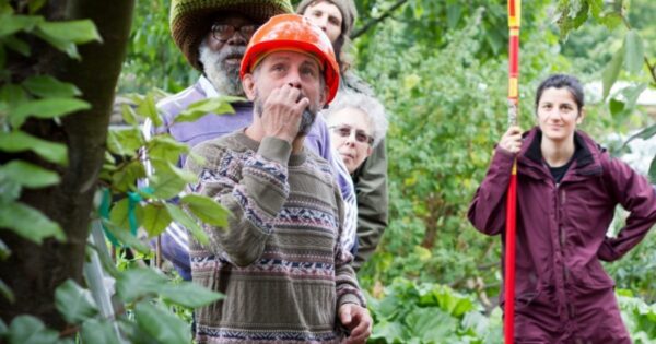 UK charity plants orchards for urban communities