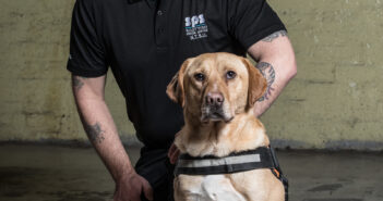 Rescue Dogs Sniff Out A New Career With Prison Service