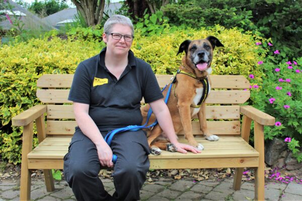 Could You Give a Dog a Loving Short-Term Home?