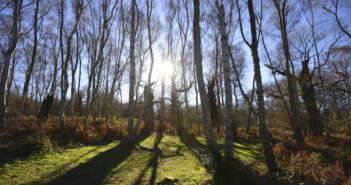Winter walks in the UK – hotspots to head to when it's cold