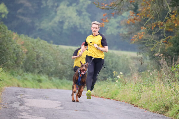 Stuart the Dobermann Finds Confidence Thanks to Canicross Running