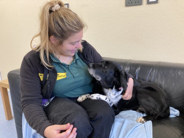 Canine Carer Praised for Her Dedication to Anxious Dogs