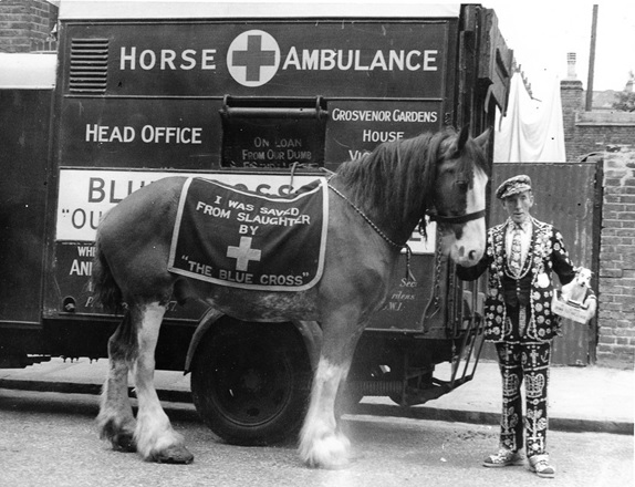 125 Years of Blue Cross Helping Pets and People Celebrated with Celebrity Recreation of Historic Images