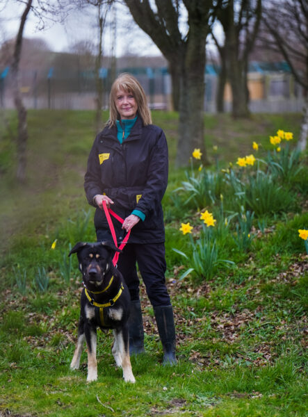 Devoted dog-lovers celebrate a total of 46 years helping homeless hounds