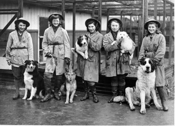 125 Years of Blue Cross Helping Pets and People Celebrated with Celebrity Recreation of Historic Images
