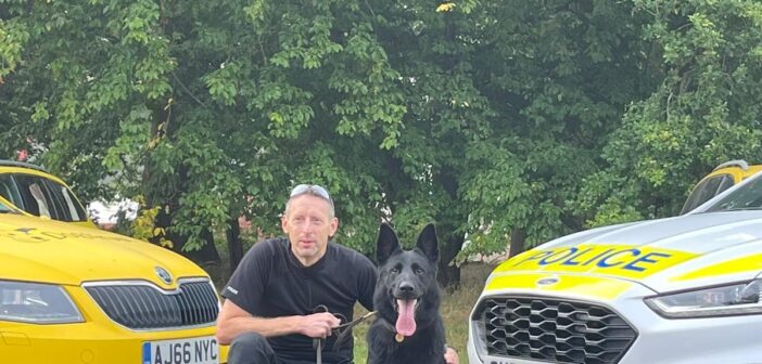 Four former rescue dogs recognised as police heroes