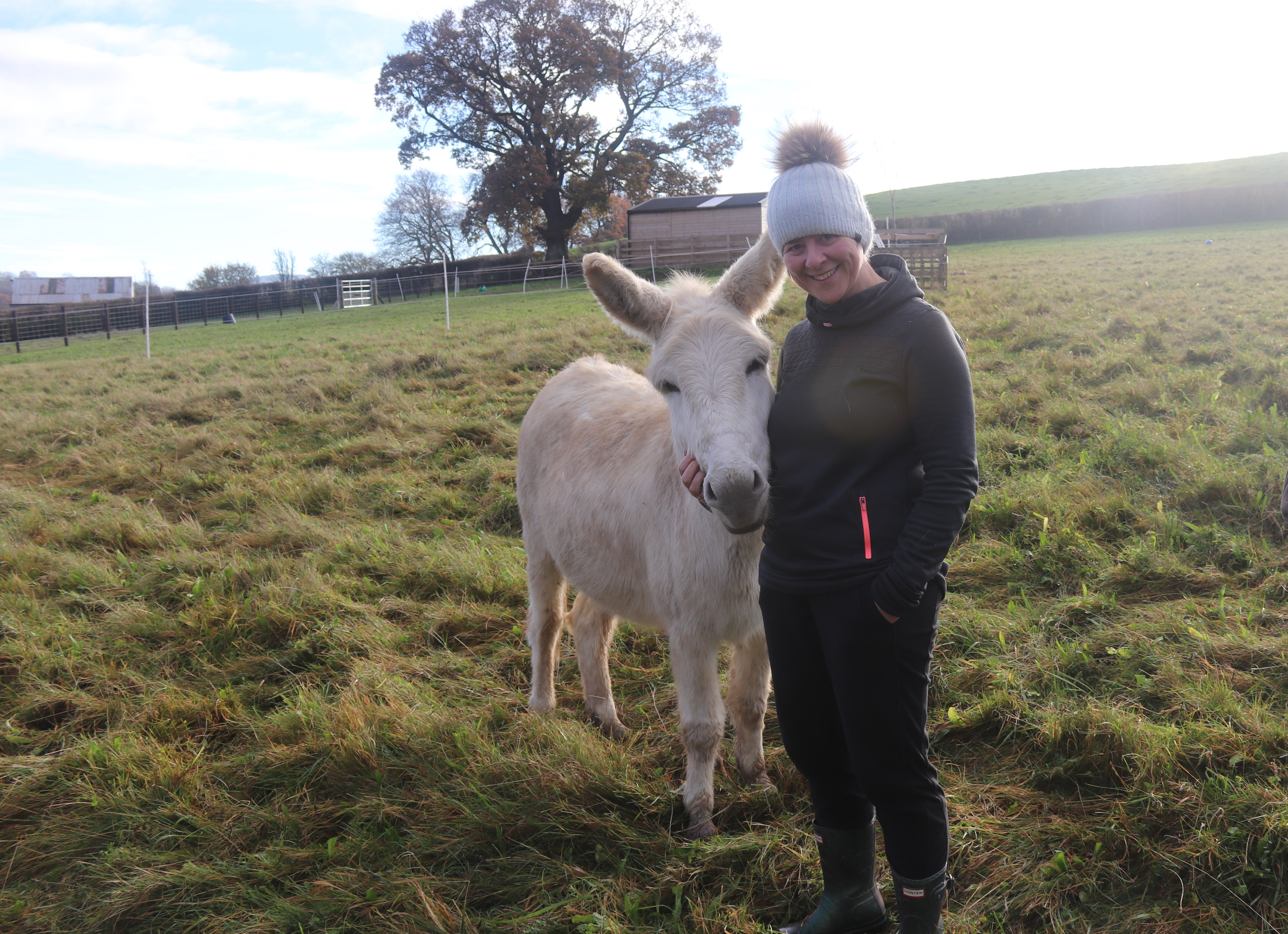 Brays of Christmas Cheer for donkeys in new home