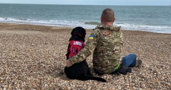 Six Rescue Dogs Graduate as Life-Changing Assistance Dogs 